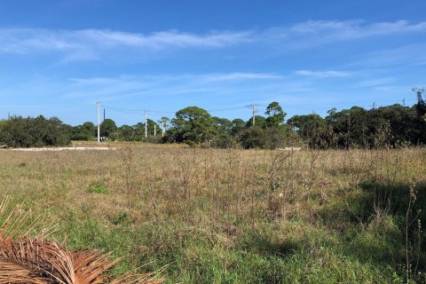 Land in Hobe Sound, Florida № 1171278 - photo 8