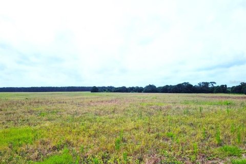 Land in Clermont, Florida № 1323239 - photo 1