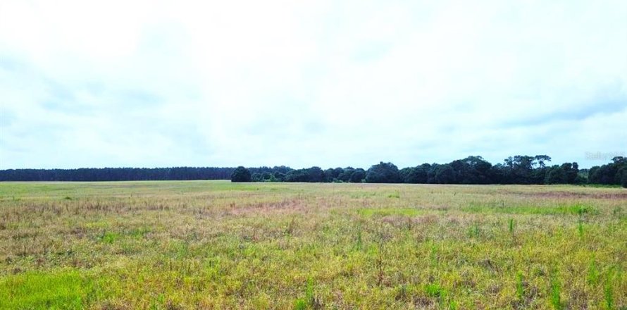 Terrain à Clermont, Floride № 1323239