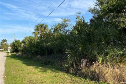 Terreno en venta en Port Charlotte, Florida № 1062385 - foto 2