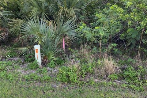 Terrain à vendre à Port Charlotte, Floride № 1062385 - photo 6