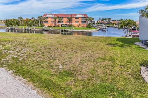 Terrain à vendre à Punta Gorda, Floride № 1090301 - photo 6