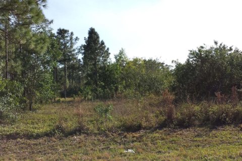 Terrain à vendre à Loxahatchee Groves, Floride № 1040728 - photo 3