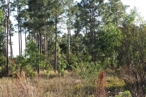 Terrain à vendre à Loxahatchee Groves, Floride № 1040728 - photo 1