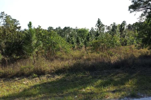 Terrain à vendre à Loxahatchee Groves, Floride № 1040728 - photo 2