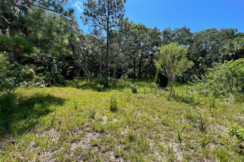 Land in Hudson, Florida № 1027989 - photo 8