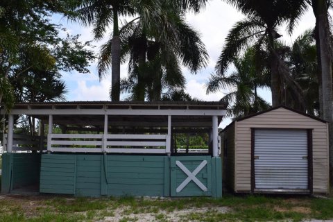 Terrain à vendre à Loxahatchee Groves, Floride № 1036131 - photo 10