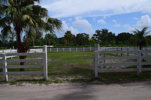 Terrain à vendre à Loxahatchee Groves, Floride № 1036131 - photo 7