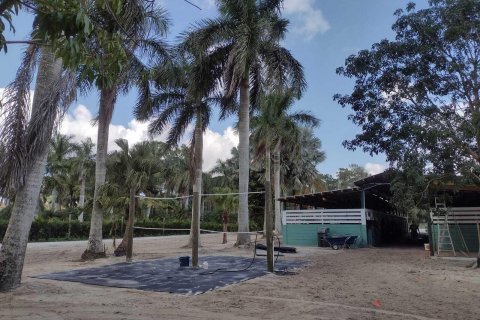 Terrain à vendre à Loxahatchee Groves, Floride № 1036131 - photo 19