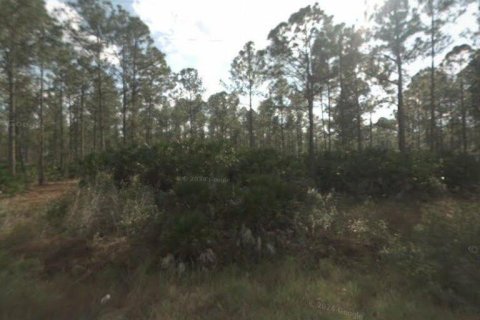 Terreno en venta en Clewiston, Florida № 1045326 - foto 1