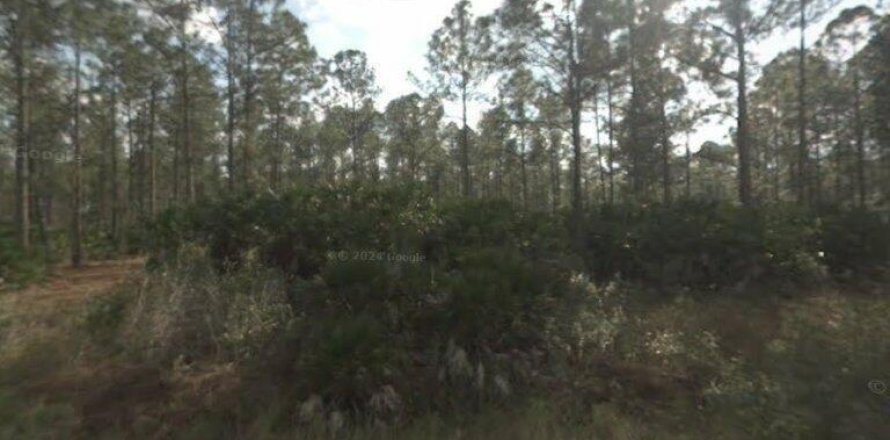 Land in Clewiston, Florida № 1045326