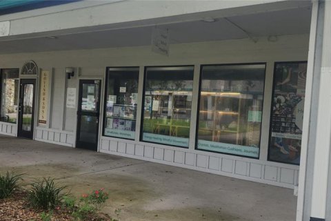 Propiedad comercial en alquiler en Gainesville, Florida, 109.62 m2 № 1346159 - foto 1