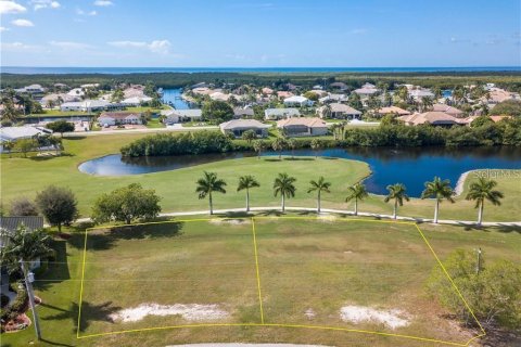 Terrain à vendre à Punta Gorda, Floride № 1191567 - photo 6