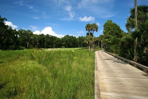 Land in Palm Coast, Florida № 1034172 - photo 29