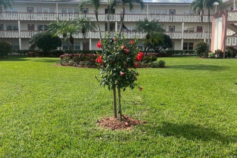 Condo in Boca Raton, Florida, 1 bedroom  № 1071232 - photo 10