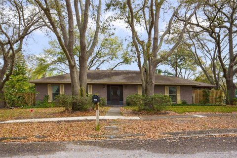 Villa ou maison à vendre à Brandon, Floride: 3 chambres, 152.36 m2 № 1019079 - photo 1