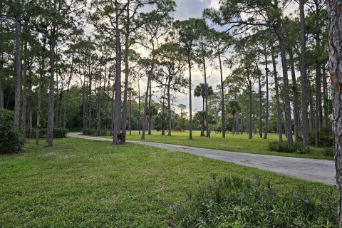 Terrain à vendre à Loxahatchee Groves, Floride № 1077090 - photo 3