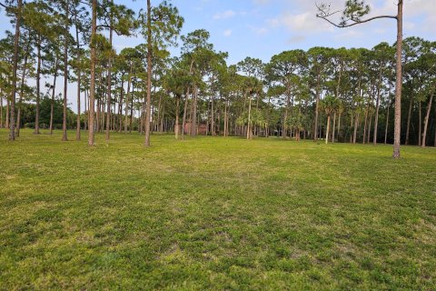 Terrain à vendre à Loxahatchee Groves, Floride № 1077090 - photo 1