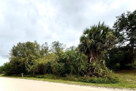 Купить земельный участок в Виро-Бич, Флорида № 1029549 - фото 6