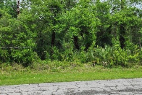 Terreno en venta en Clewiston, Florida № 1402960 - foto 6