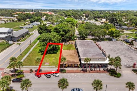 Terreno en venta en Tavares, Florida № 1295474 - foto 1