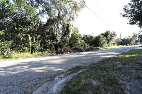 Terrain à vendre à DeLand, Floride № 1283484 - photo 7