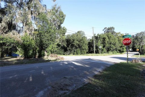 Land in DeLand, Florida № 1283484 - photo 9