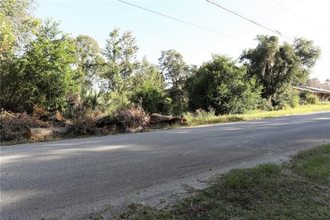 Terrain à vendre à DeLand, Floride № 1283484 - photo 6