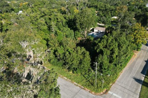 Land in DeLand, Florida № 1283484 - photo 10