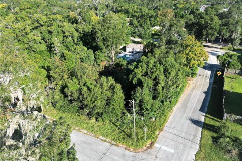 Terreno en venta en DeLand, Florida № 1283484 - foto 2