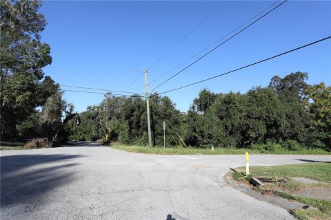 Terrain à vendre à DeLand, Floride № 1283484 - photo 4