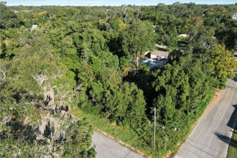 Terreno en venta en DeLand, Florida № 1283484 - foto 11