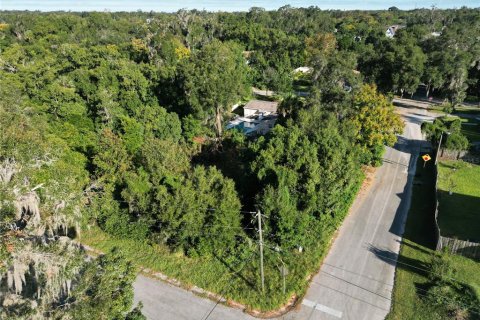 Land in DeLand, Florida № 1283484 - photo 12