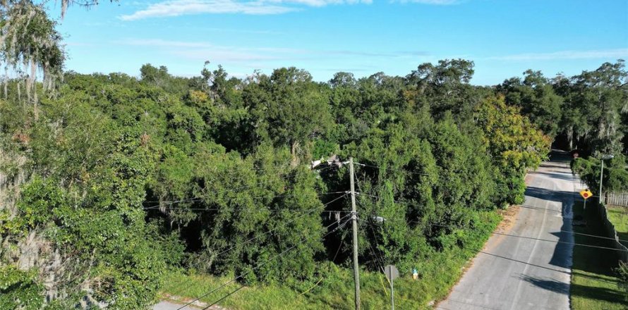 Terrain à DeLand, Floride № 1283484