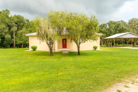 Villa ou maison à vendre à Wauchula, Floride: 3 chambres, 162.86 m2 № 1344009 - photo 2