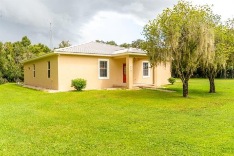 House in Wauchula, Florida 3 bedrooms, 162.86 sq.m. № 1344009 - photo 1