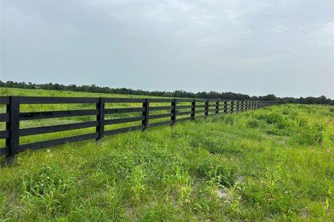 Land in Arcadia, Florida № 1277645 - photo 3