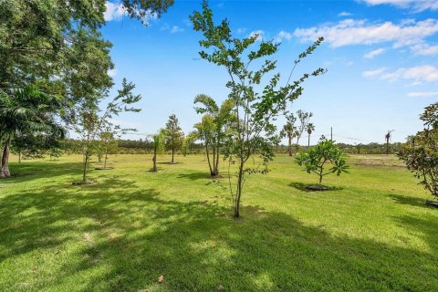 Land in Palmetto, Florida № 1255172 - photo 16