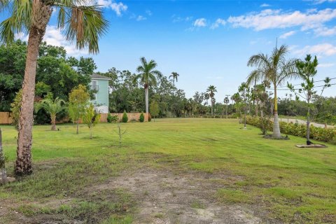 Land in Palmetto, Florida № 1255172 - photo 10