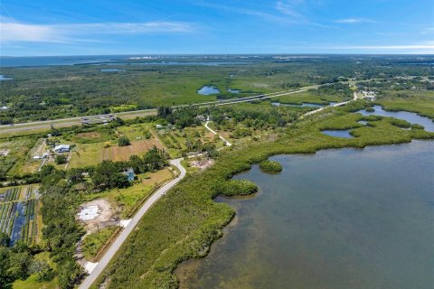 Land in Palmetto, Florida № 1255172 - photo 6