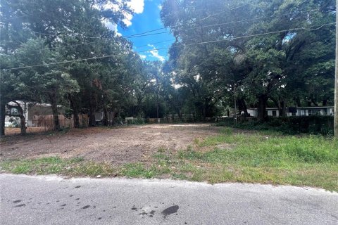 Terreno en venta en Ocala, Florida № 1247454 - foto 5