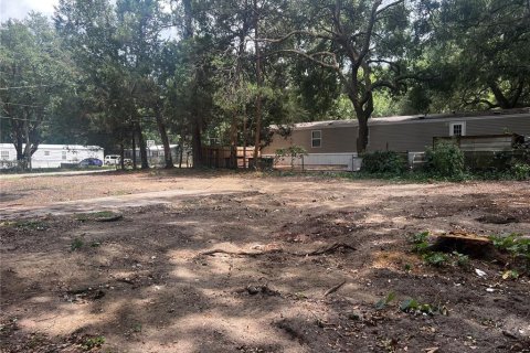 Terreno en venta en Ocala, Florida № 1247454 - foto 14