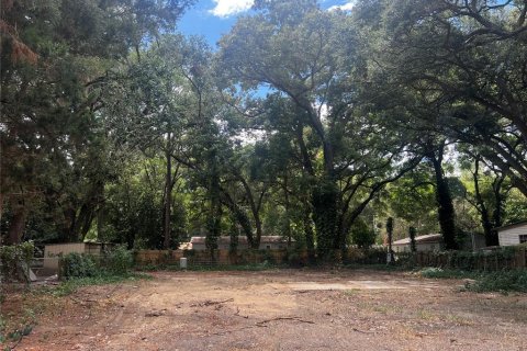 Terreno en venta en Ocala, Florida № 1247454 - foto 4