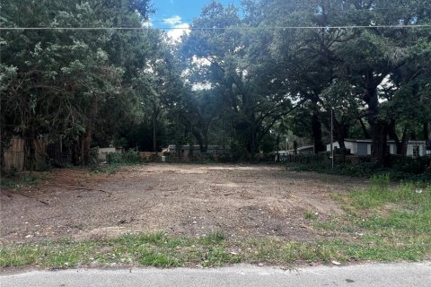 Land in Ocala, Florida № 1247454 - photo 2