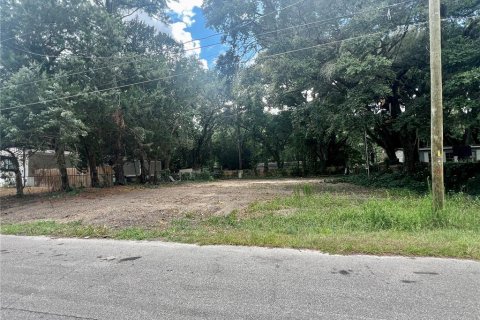 Terreno en venta en Ocala, Florida № 1247454 - foto 9