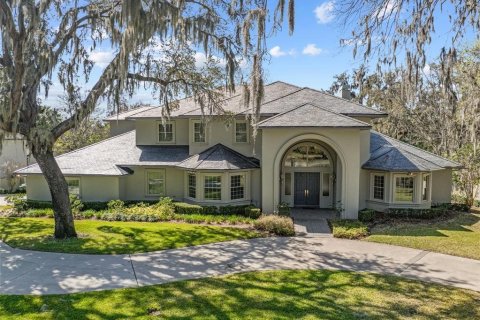 Villa ou maison à vendre à Brandon, Floride: 6 chambres, 759.29 m2 № 1084797 - photo 7