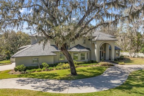 Villa ou maison à vendre à Brandon, Floride: 6 chambres, 759.29 m2 № 1084797 - photo 6