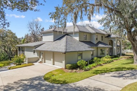 Villa ou maison à vendre à Brandon, Floride: 6 chambres, 759.29 m2 № 1084797 - photo 8