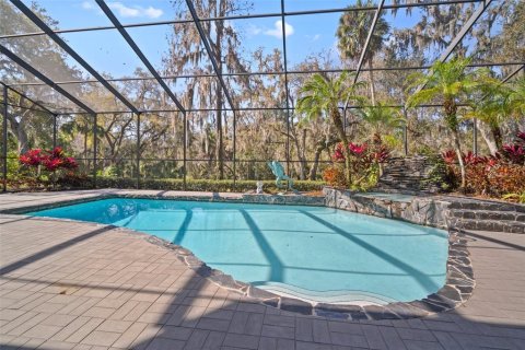 Villa ou maison à vendre à Brandon, Floride: 6 chambres, 759.29 m2 № 1084797 - photo 2