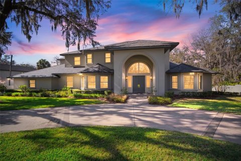 Villa ou maison à vendre à Brandon, Floride: 6 chambres, 759.29 m2 № 1084797 - photo 1